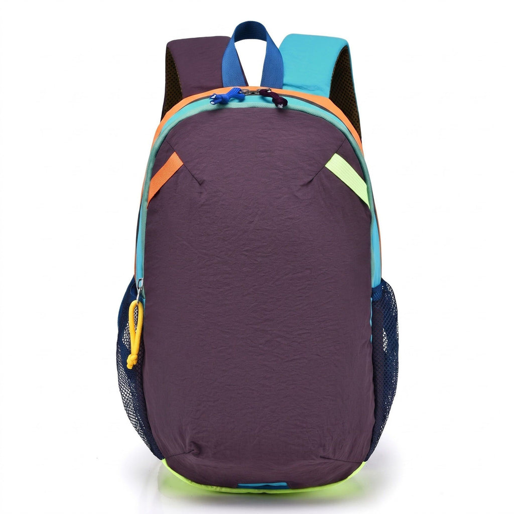 Colorblock Multi-Compartment Backpack with Padded Shoulder Straps and Dual Mesh Side Pockets