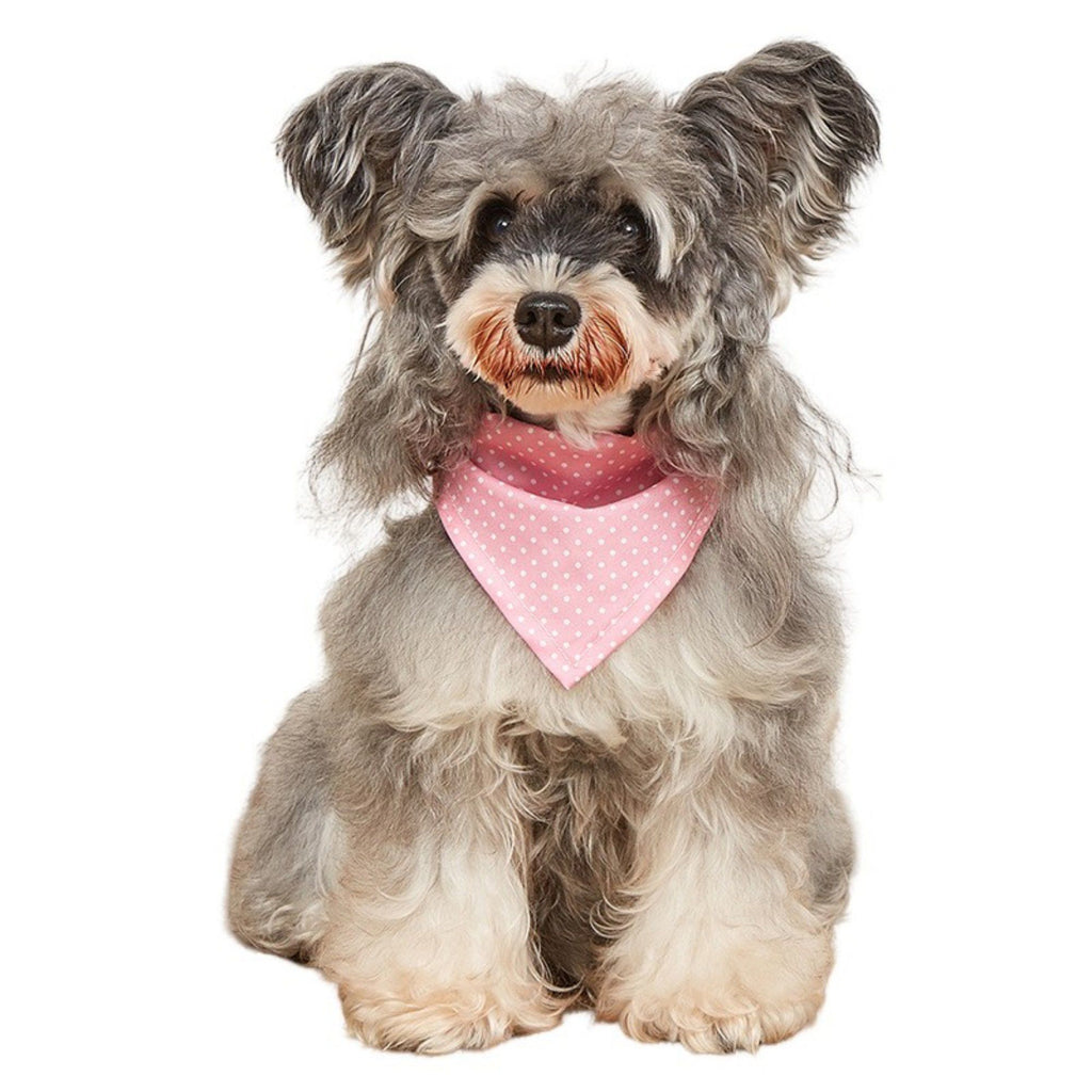 Polka Dot Pet Bandana, Soft Cotton Dotted Scarf Bib for Small Medium Dogs Cats