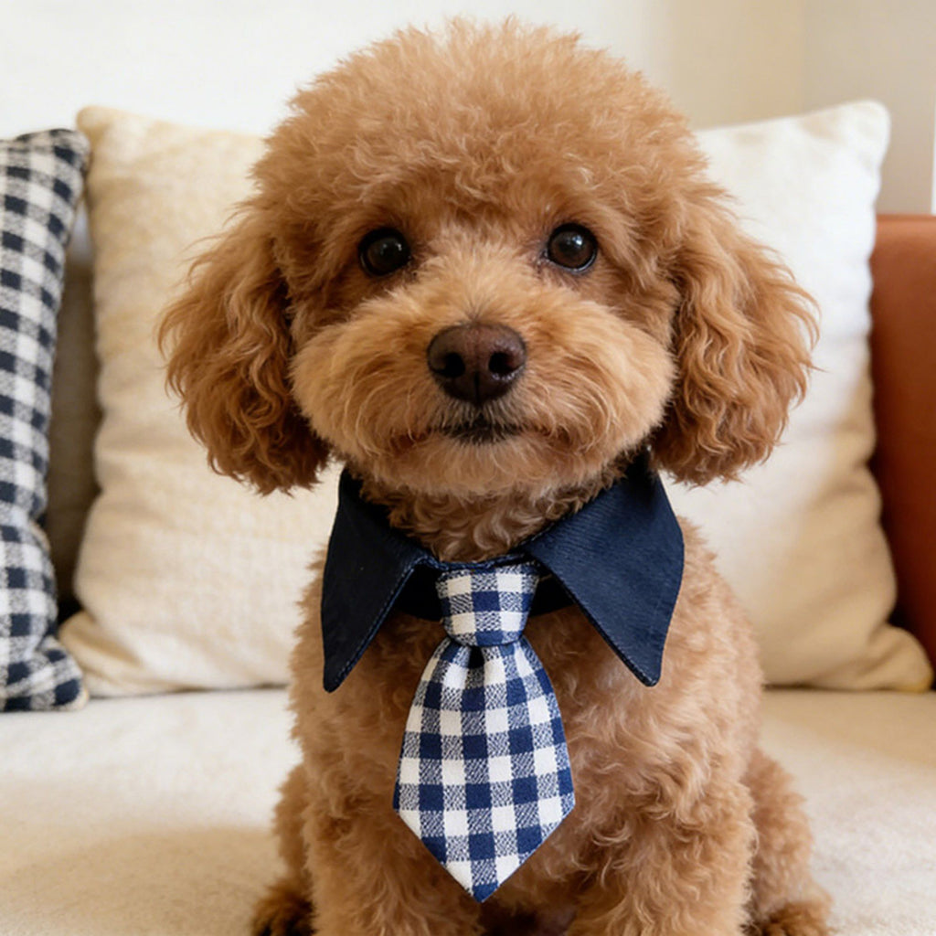 Plaid Pet Necktie Collar, Soft Cotton Gentleman Style Gingham Tie for Small Medium Dogs Cats