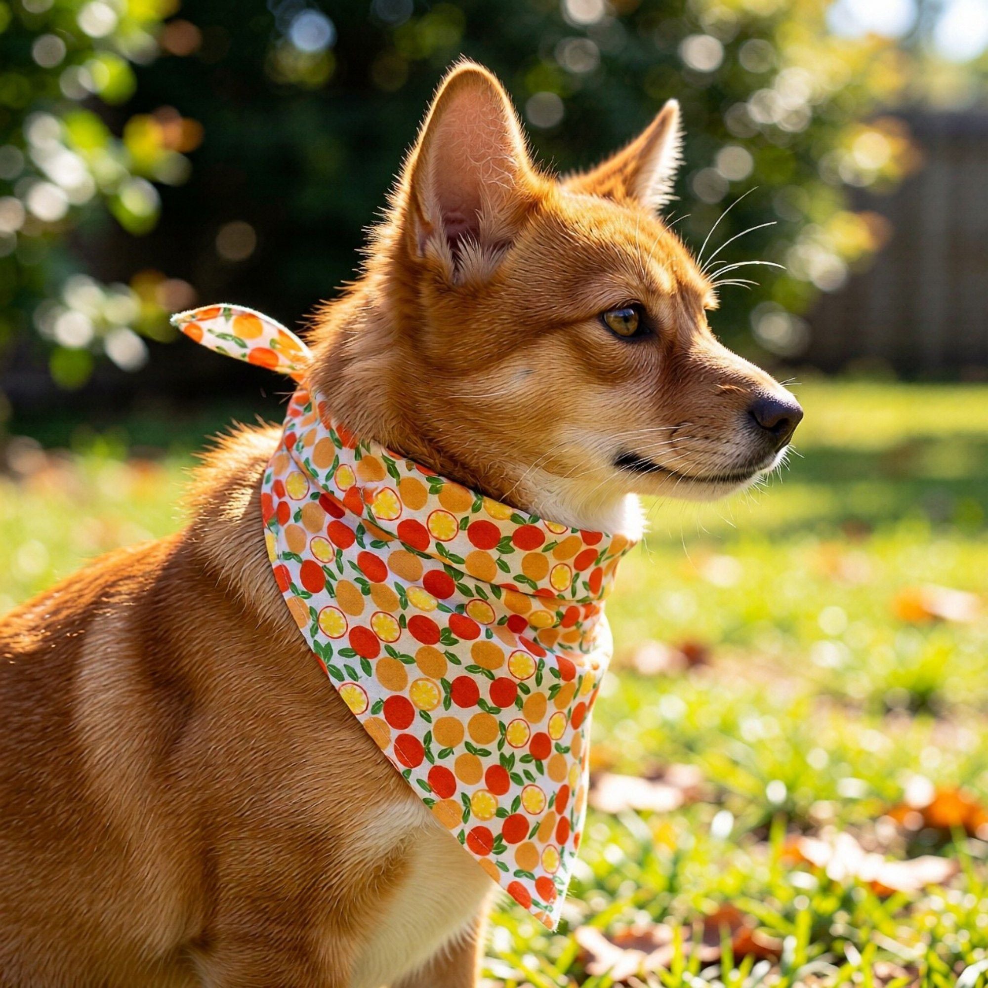 Fruit Print Pet Bandana, Soft Cotton Citrus Pattern Scarf Bib for Small Medium Dogs Cats