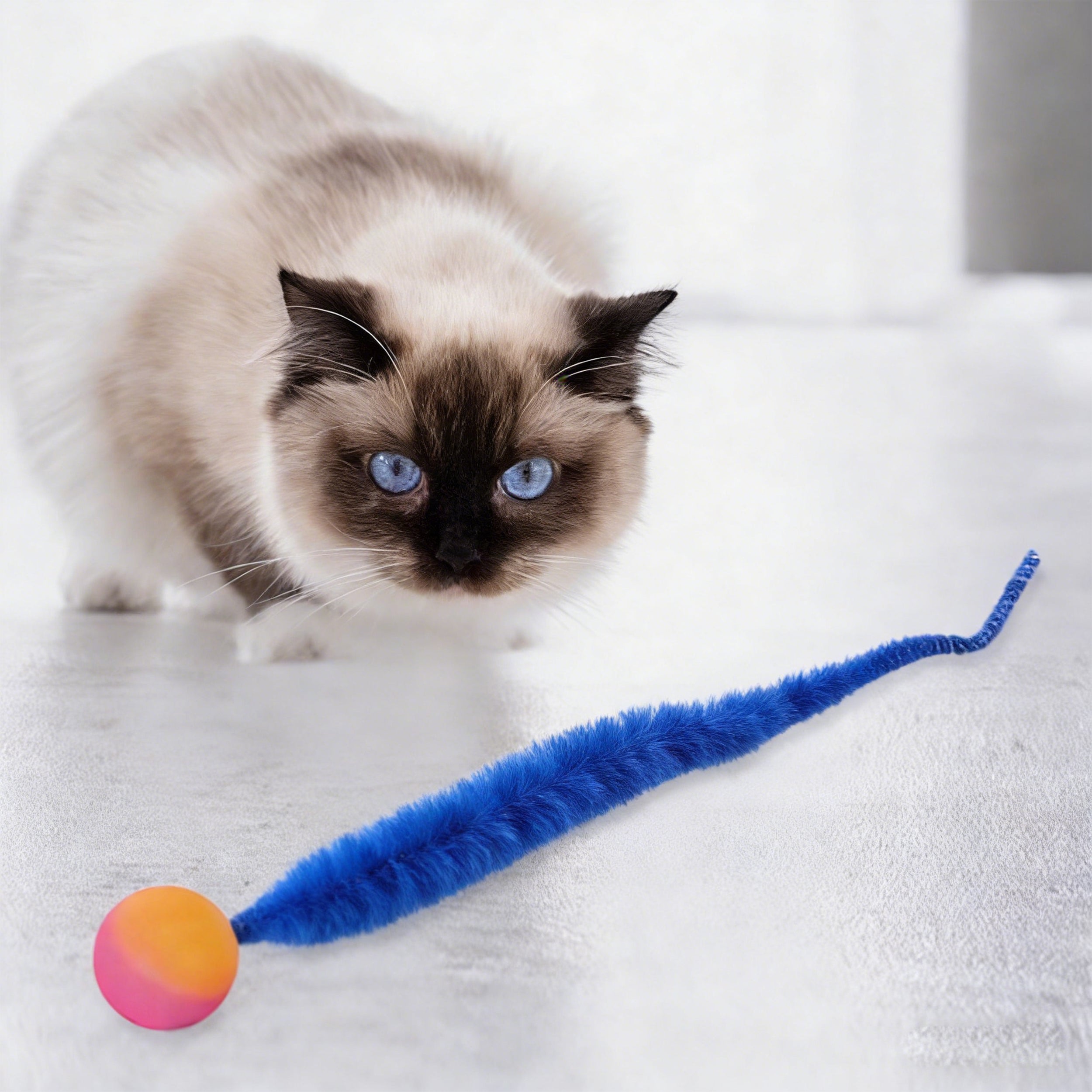 Anna-Kaci Interactive Cat Toy Teaser Worm Cat Toy with Ball Plush Cat Toys for Indoor Cats 4 Pack