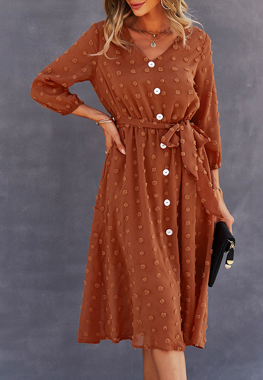 Swiss Dot Contrast Button Dress