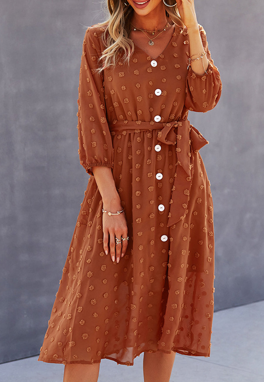 Swiss Dot Contrast Button Dress