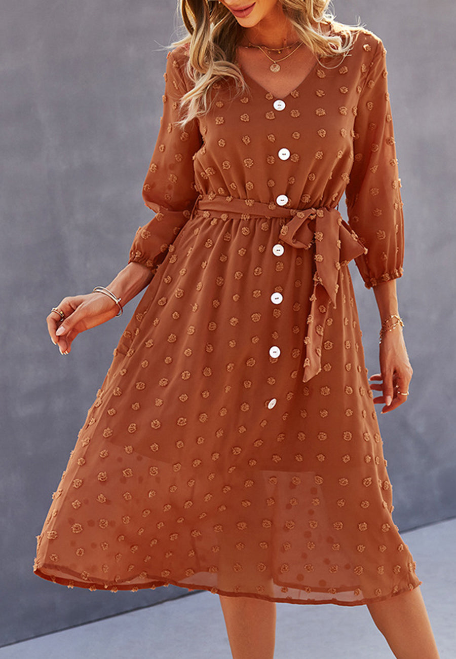 Swiss Dot Contrast Button Dress