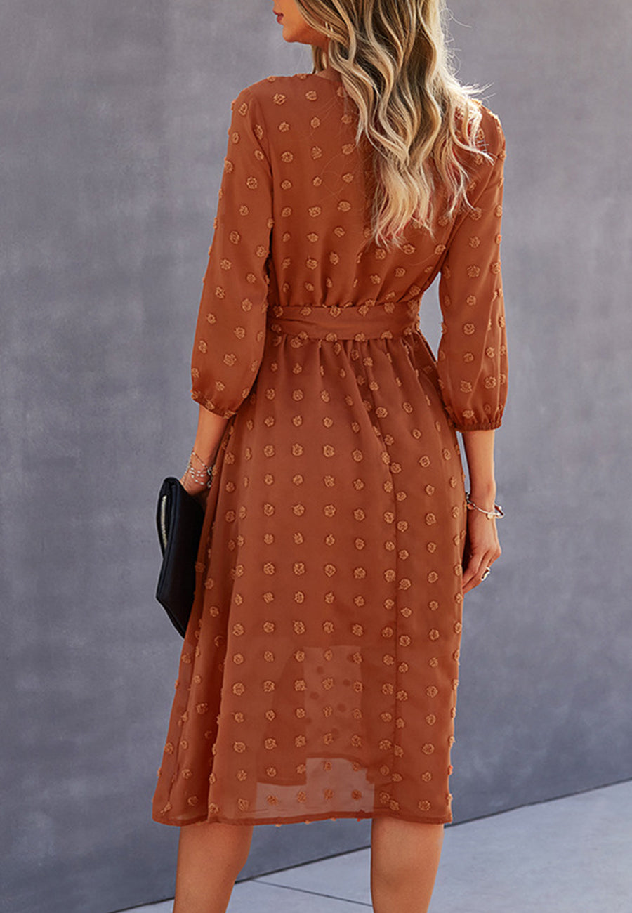 Swiss Dot Contrast Button Dress
