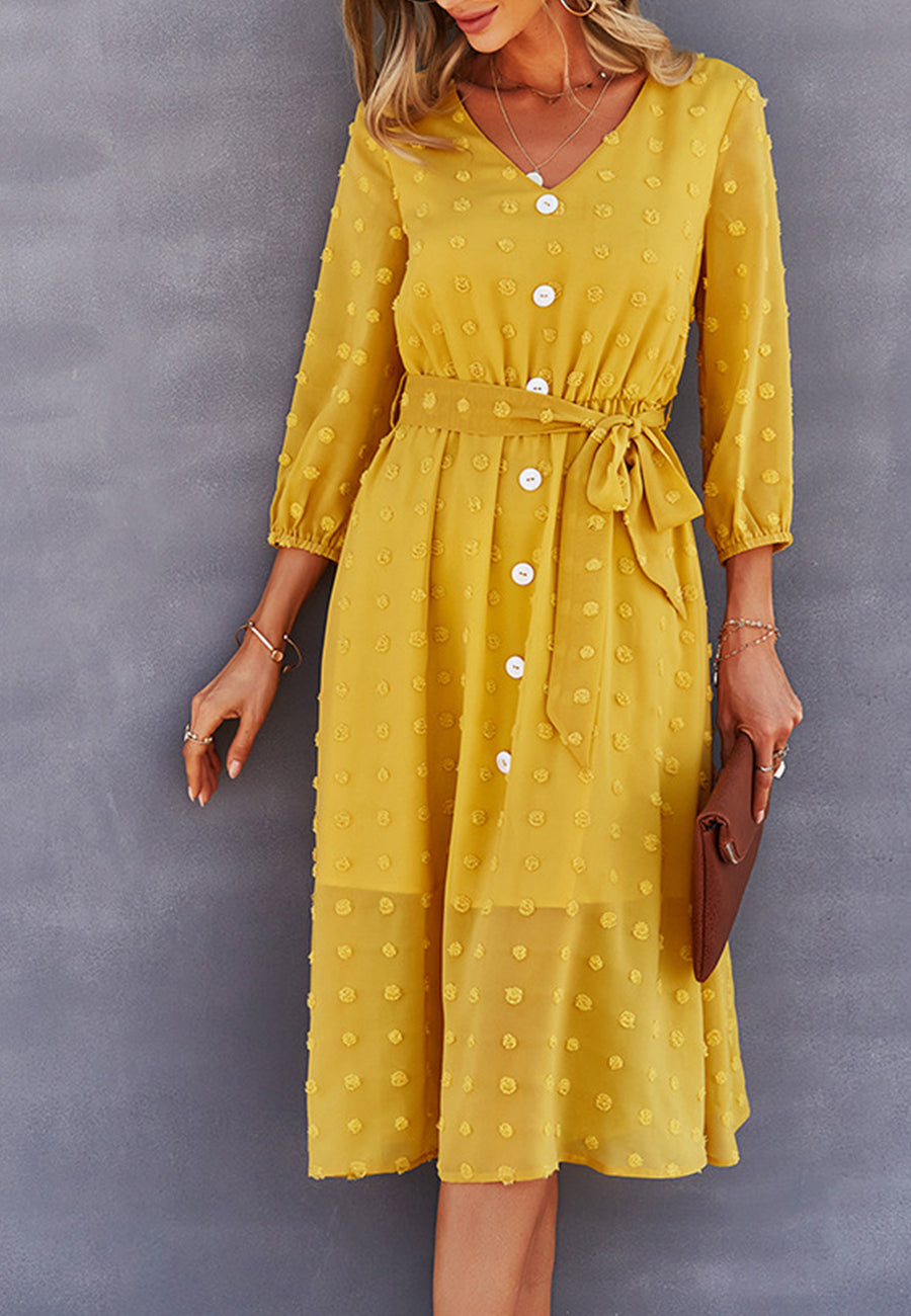Swiss Dot Contrast Button Dress