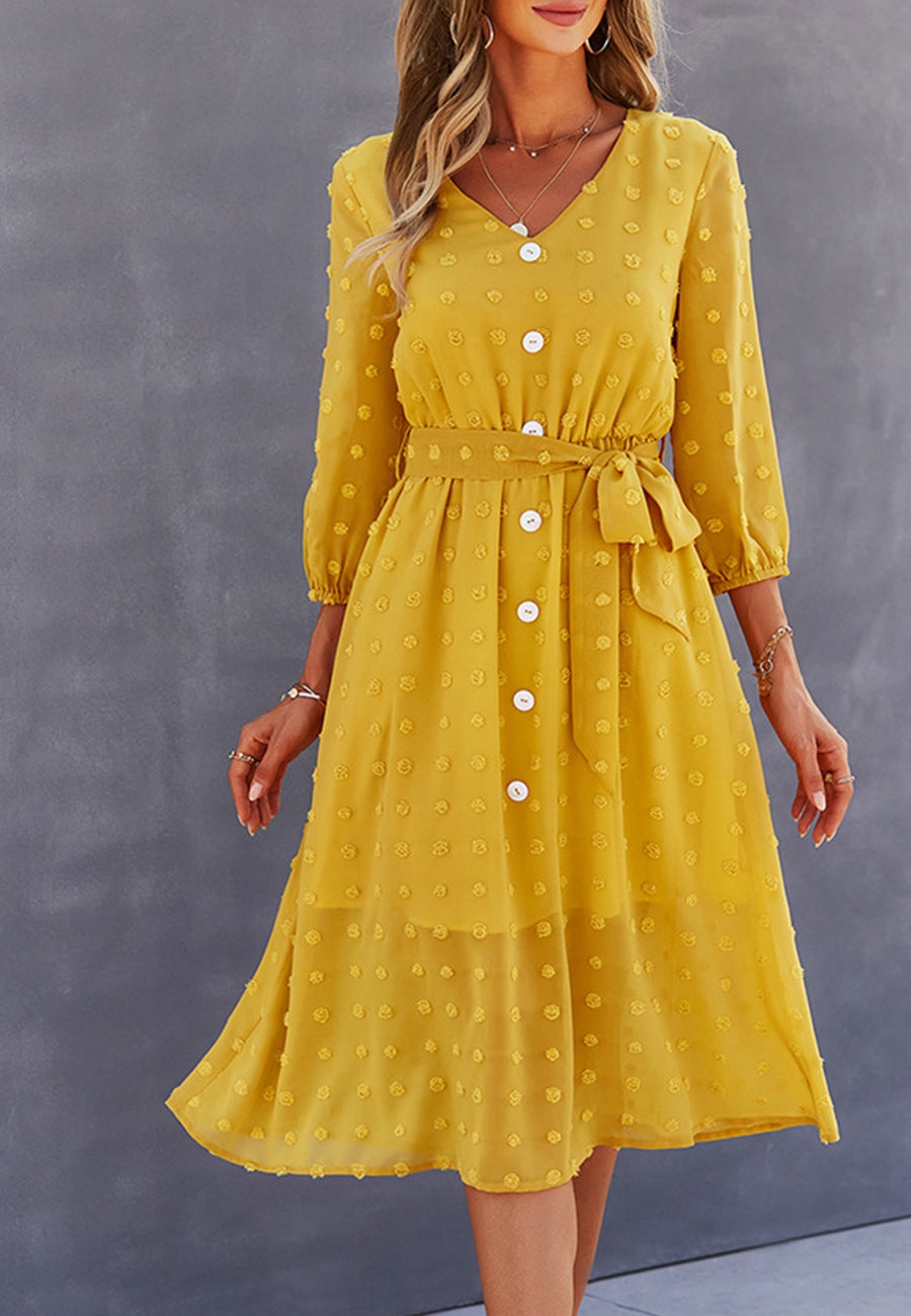 Swiss Dot Contrast Button Dress