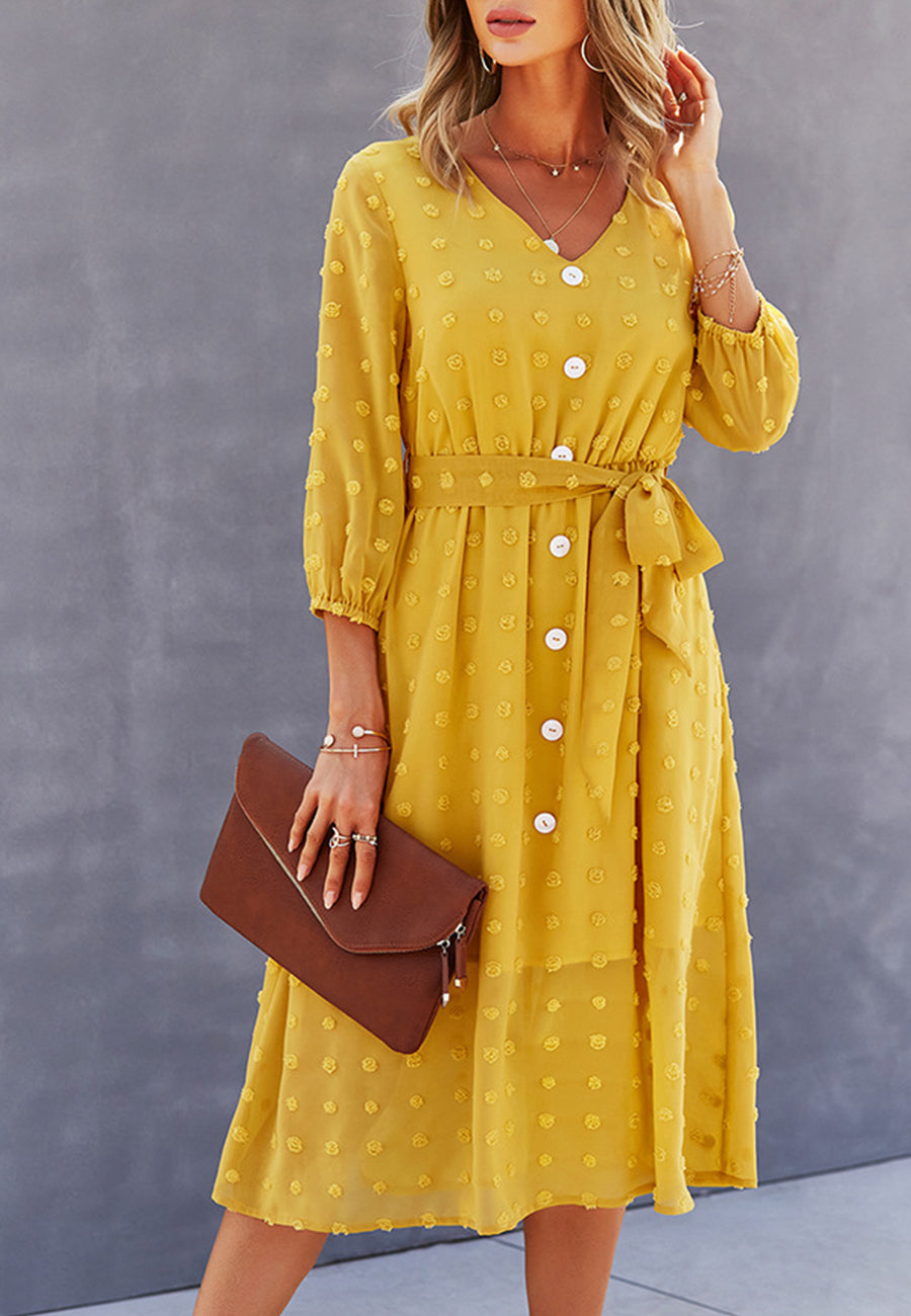 Swiss Dot Contrast Button Dress