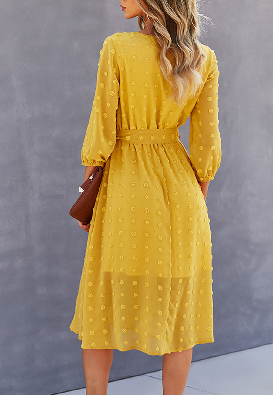 Swiss Dot Contrast Button Dress