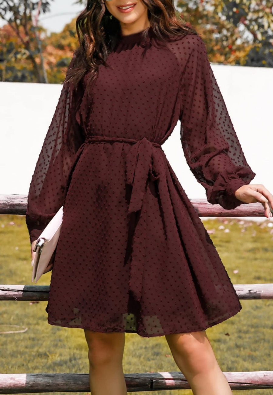 Mesh Sleeve Tie Back Dress