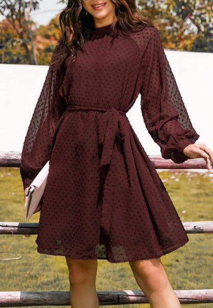 Mesh Sleeve Tie Back Dress