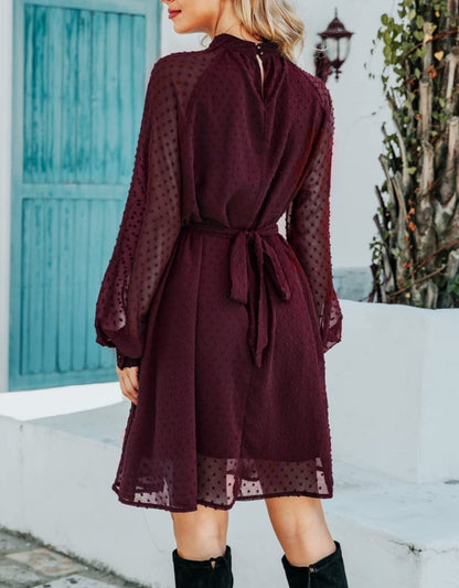 Mesh Sleeve Tie Back Dress