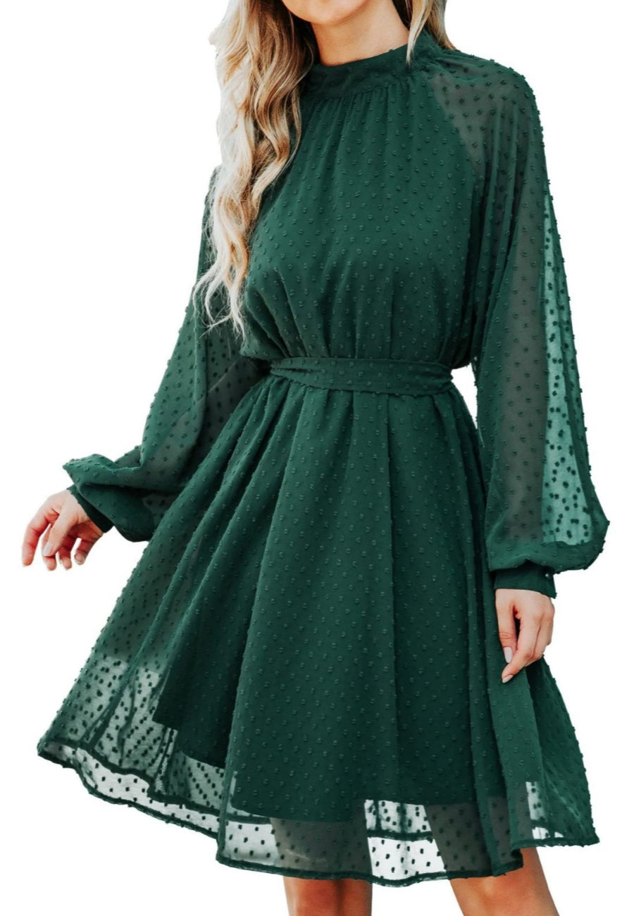 Mesh Sleeve Tie Back Dress