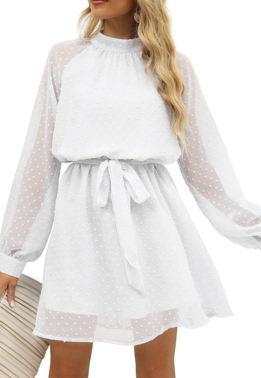 Mesh Sleeve Tie Back Dress