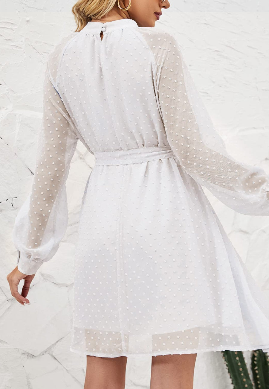 Mesh Sleeve Tie Back Dress