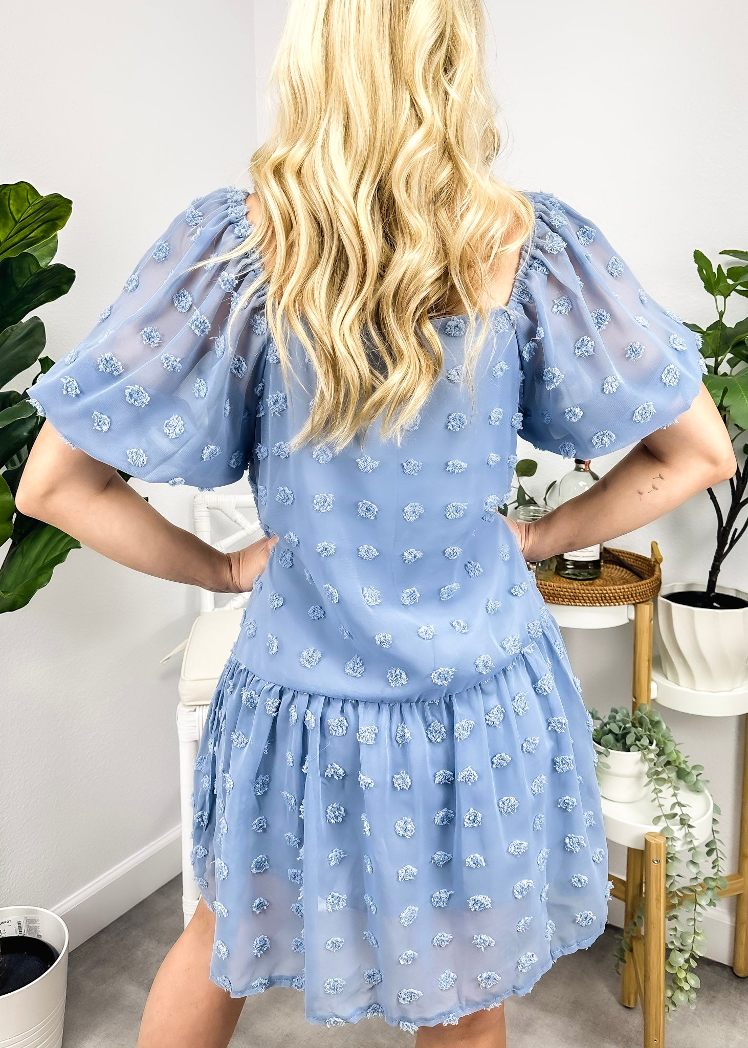 Puff Sleeve Swiss Dot Dress