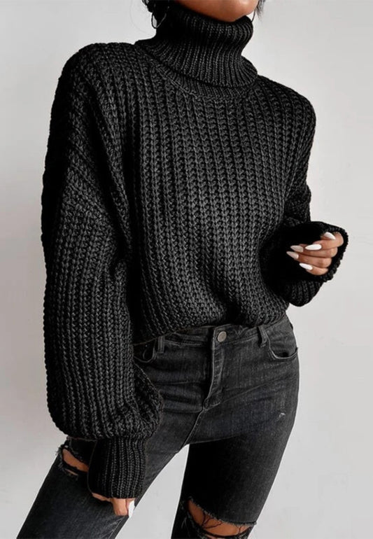 Turtle Neck Baggy Sleeves Sweater