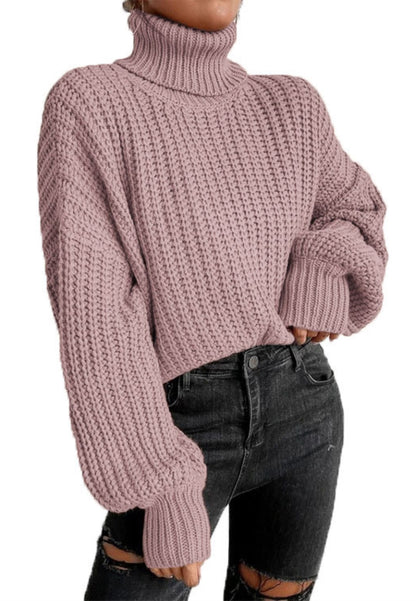Turtle Neck Baggy Sleeves Sweater