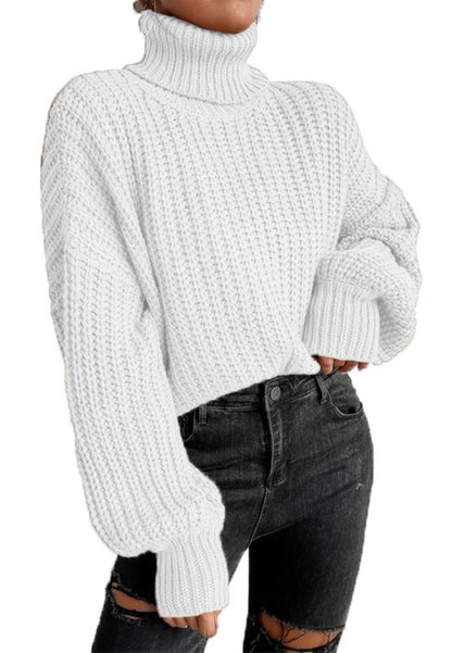 Turtle Neck Baggy Sleeves Sweater