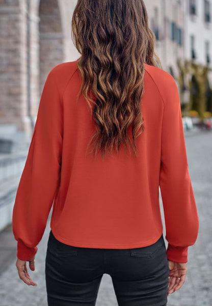 Striped Sleeve Henley Button Sweater