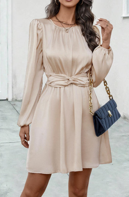 Pleated Detail Twist Waist Dress