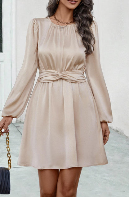 Pleated Detail Twist Waist Dress