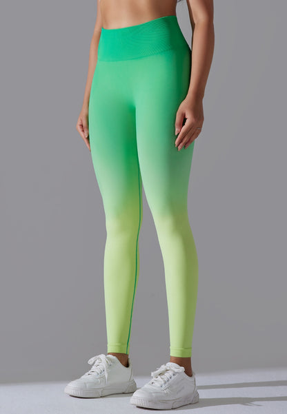 High Waist Ombre Leggings