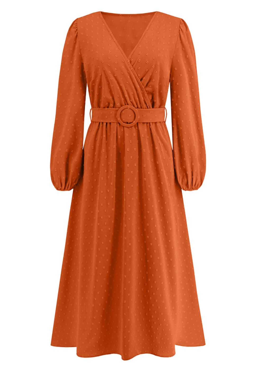 Swiss Dot Belted Dress