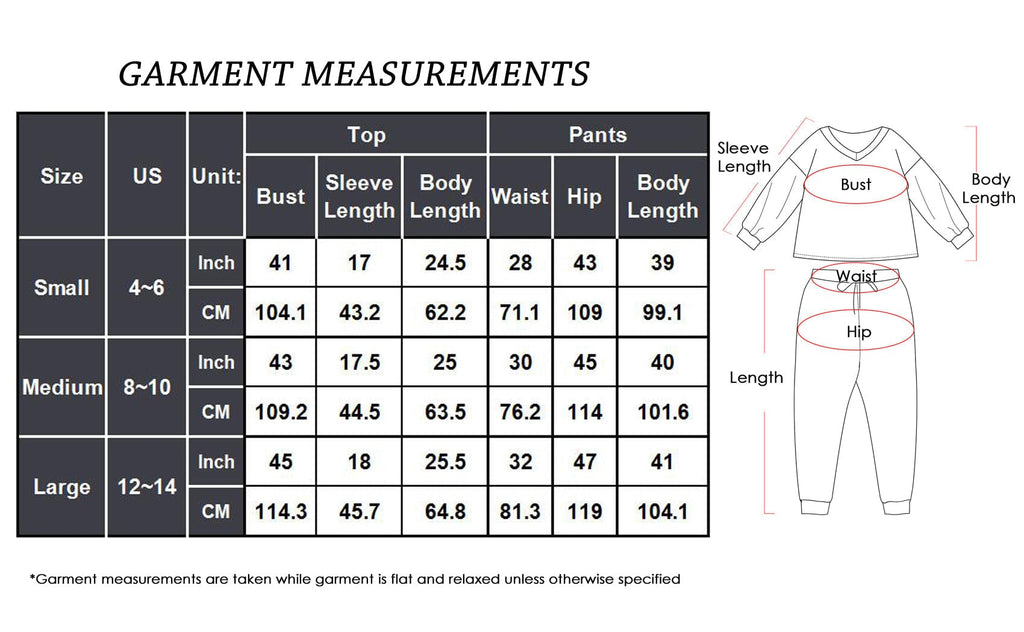 2 Piece Leopard Print Top & Pants Set