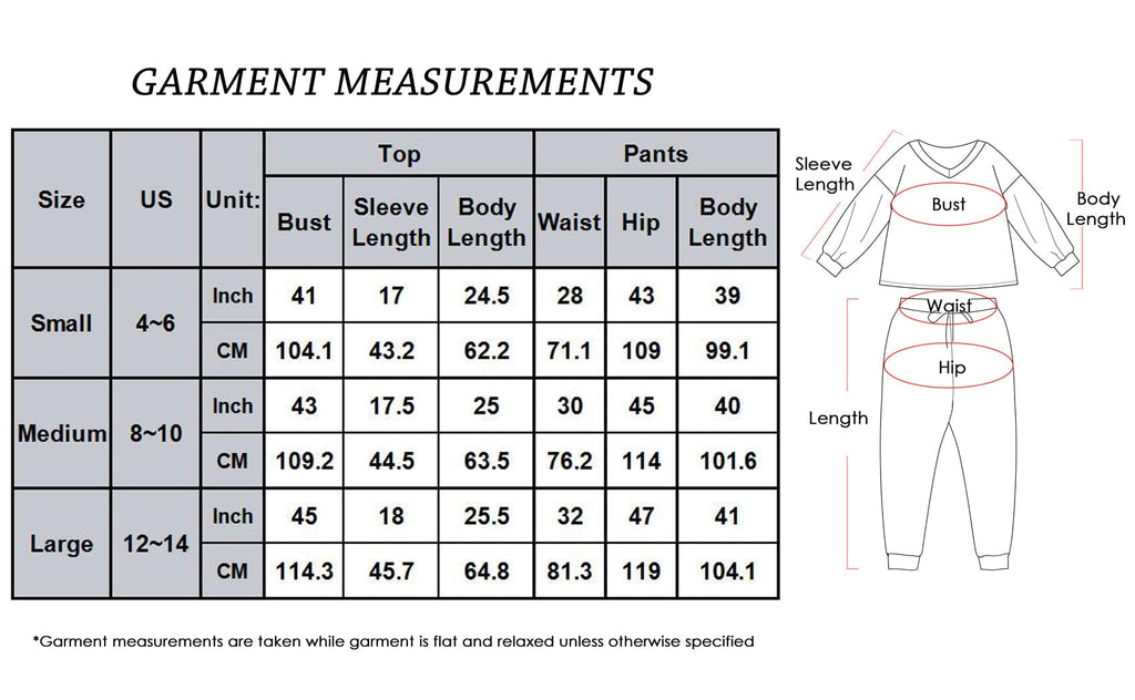 2 Piece Leopard Print Top & Pants Set