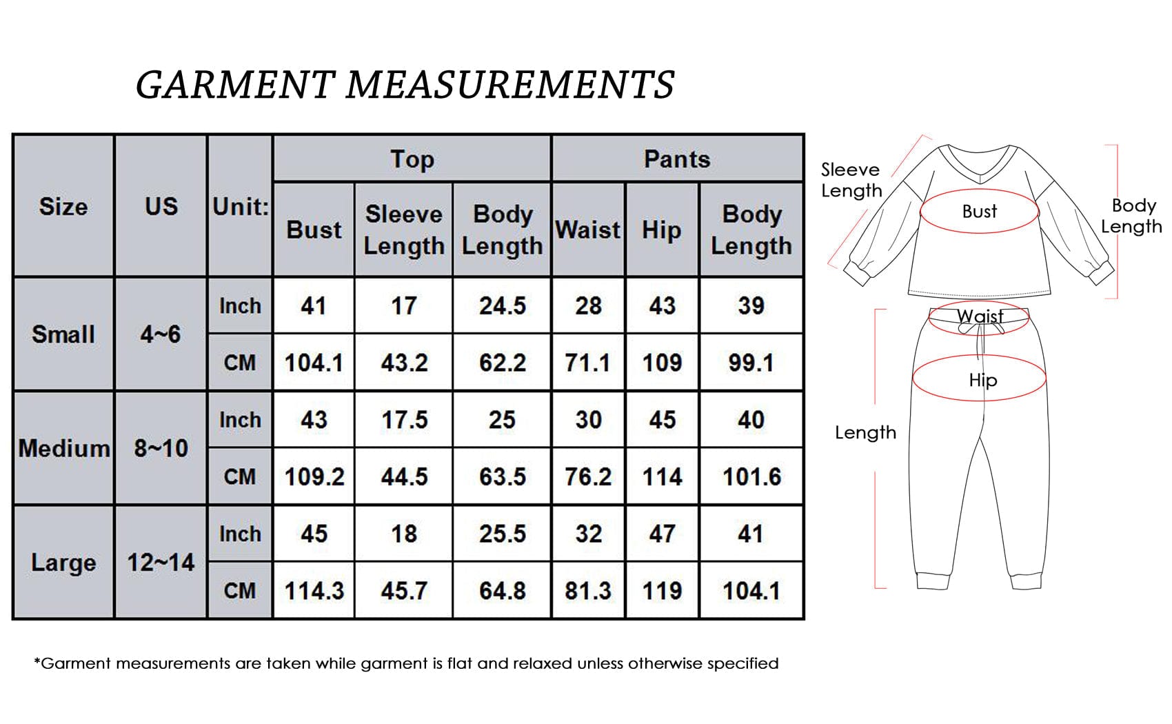 2 Piece Leopard Print Top & Pants Set