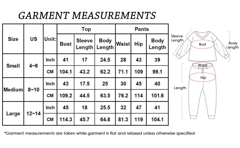 2 Piece Leopard Print Top & Pants Set